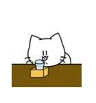 へそねこ 2 文字なし（個別スタンプ：13）