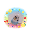 ぴーちゃん☆miracle stamp（個別スタンプ：3）