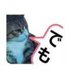 猫の日常 ちょこっと呼び名（個別スタンプ：18）