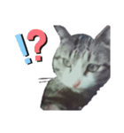 猫の日常 ちょこっと呼び名（個別スタンプ：21）