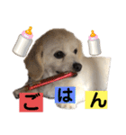 チャンミン（個別スタンプ：33）