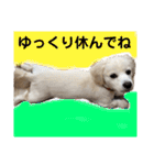 チャンミン（個別スタンプ：35）