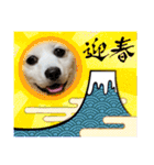 チャンミン（個別スタンプ：39）