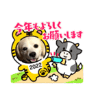 チャンミン（個別スタンプ：40）