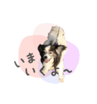 てる♡（個別スタンプ：3）