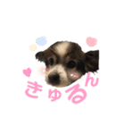 てる♡（個別スタンプ：9）