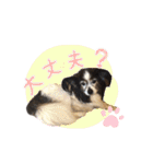 てる♡（個別スタンプ：19）