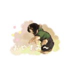 てる♡（個別スタンプ：24）