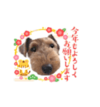 ウェルシュテリア♡ジェリーさんの1日(25)（個別スタンプ：2）