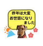ウェルシュテリア♡ジェリーさんの1日(25)（個別スタンプ：3）