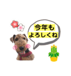 ウェルシュテリア♡ジェリーさんの1日(25)（個別スタンプ：4）