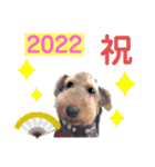 ウェルシュテリア♡ジェリーさんの1日(25)（個別スタンプ：5）