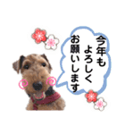ウェルシュテリア♡ジェリーさんの1日(25)（個別スタンプ：8）