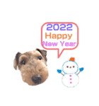 ウェルシュテリア♡ジェリーさんの1日(25)（個別スタンプ：12）