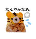 きなことあんこ8（個別スタンプ：27）