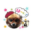 ポメラニアン姫ちゃん⑬（個別スタンプ：18）