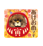 ポメラニアン姫ちゃん⑬（個別スタンプ：22）