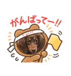 毎日ココナ‼︎（個別スタンプ：1）