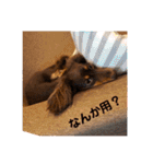 毎日ココナ‼︎（個別スタンプ：11）