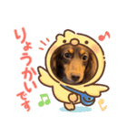 毎日ココナ‼︎（個別スタンプ：12）