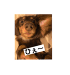 毎日ココナ‼︎（個別スタンプ：14）