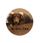 毎日ココナ‼︎（個別スタンプ：15）