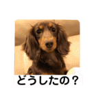 毎日ココナ‼︎（個別スタンプ：16）