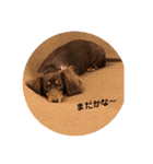 毎日ココナ‼︎（個別スタンプ：17）