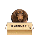 毎日ココナ‼︎（個別スタンプ：21）