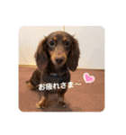 毎日ココナ‼︎（個別スタンプ：24）