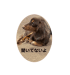 毎日ココナ‼︎（個別スタンプ：26）