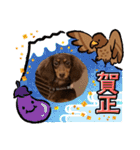 毎日ココナ‼︎（個別スタンプ：29）