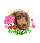 毎日ココナ‼︎（個別スタンプ：31）