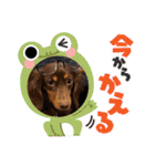 毎日ココナ‼︎（個別スタンプ：32）