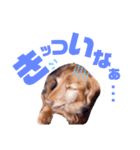 らぶぞぅr（個別スタンプ：2）