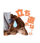 らぶぞぅr（個別スタンプ：3）