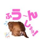 らぶぞぅr（個別スタンプ：5）