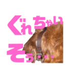 らぶぞぅr（個別スタンプ：8）