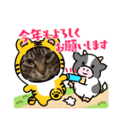 2022  うちの子たち！ドンのぶボム（個別スタンプ：1）