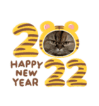 2022  うちの子たち！ドンのぶボム（個別スタンプ：3）