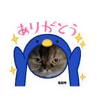 2022  うちの子たち！ドンのぶボム（個別スタンプ：9）