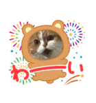 2022  うちの子たち！ドンのぶボム（個別スタンプ：11）
