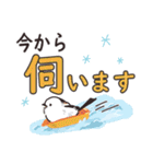 もふもふシマエナガ～デカ文字・冬の挨拶～（個別スタンプ：9）