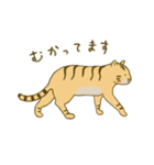 とらになりたいねこ（個別スタンプ：16）