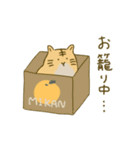 とらになりたいねこ（個別スタンプ：19）