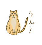 とらになりたいねこ（個別スタンプ：24）