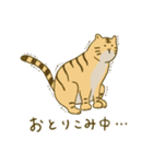 とらになりたいねこ（個別スタンプ：27）