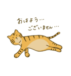 とらになりたいねこ（個別スタンプ：38）