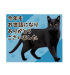 大人の敬語と猫写真♪年末年始のご挨拶（個別スタンプ：13）