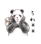 パンダとコアリクイ☆新年スタンプ（個別スタンプ：36）